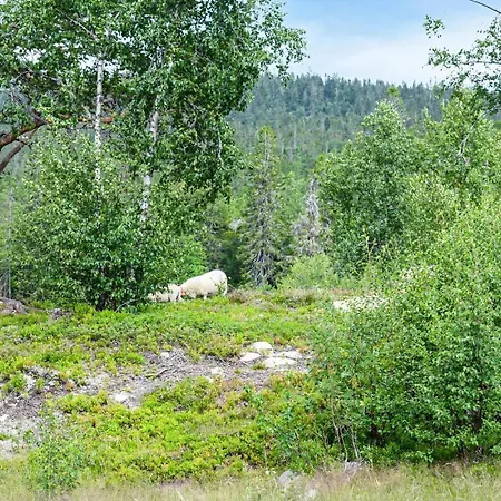 Beautiful In With Kitchen Σπίτι διακοπών